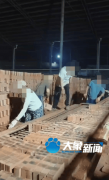 临湘市边发觉的“水牛”