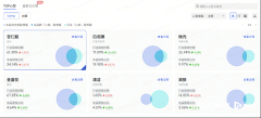分项目人员和资本投入较高